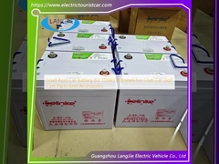 Bateria de carro de chumbo 6V 170AH Marshell para carro de clube de carrinho de golfe Peças e acessórios