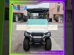 Carrinho de golfe de utilitário elétrico de 48 V AC para 2 pessoas Carrinho de bagagem elétrico com caixa de carga para hotel