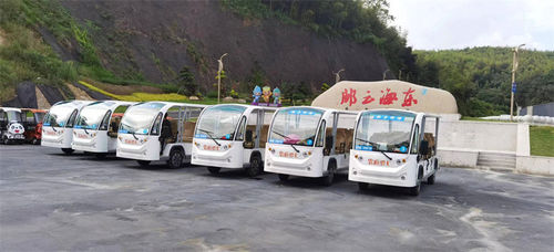 Últimas notícias da empresa sobre Ônibus de transporte elétrico usado no Hotel & Resort