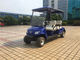 Carrinho de golfe multifuncional da companhia de eletricidade, carrinho de golfe Eco do cadete de Cub amigável fornecedor
