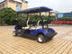 Carrinho de golfe multifuncional da companhia de eletricidade, carrinho de golfe Eco do cadete de Cub amigável fornecedor
