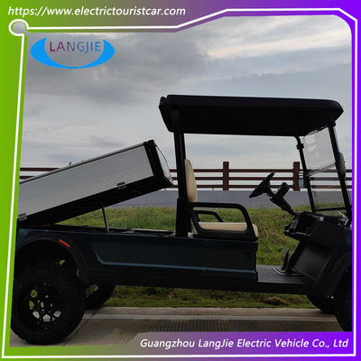 8~10h Recarregar Club Carro Elétrico AC Motor 48 Volt 2 lugares Golf Buggy Para Parque
