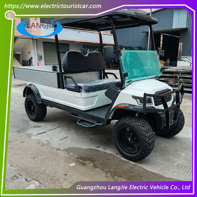 Carrinho de bagagem elétrico de 2 lugares de 48 V AC Motor Alimentado por bateria Carry Van For Park