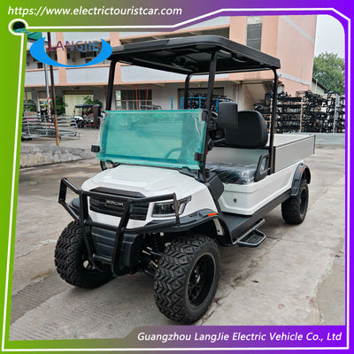 48V AC Motor Elétrico 2 lugares Golf Buggy Bateria Operado Certificação CE para Parque