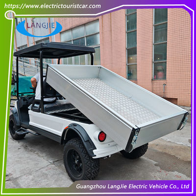 48V AC Motor Elétrico 2 lugares Golf Buggy Bateria Operado Certificação CE para Parque