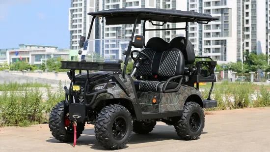 Bom preço. Carrinho de golfe elétrico com rodas de 14 polegadas Q235 Chassis 10 polegadas Display para condução confortável online